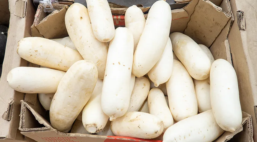 Cel mai delicios și suculent daikon este de mărime medie, alegeți fructe netede și elastice fără deteriorare vizibilă